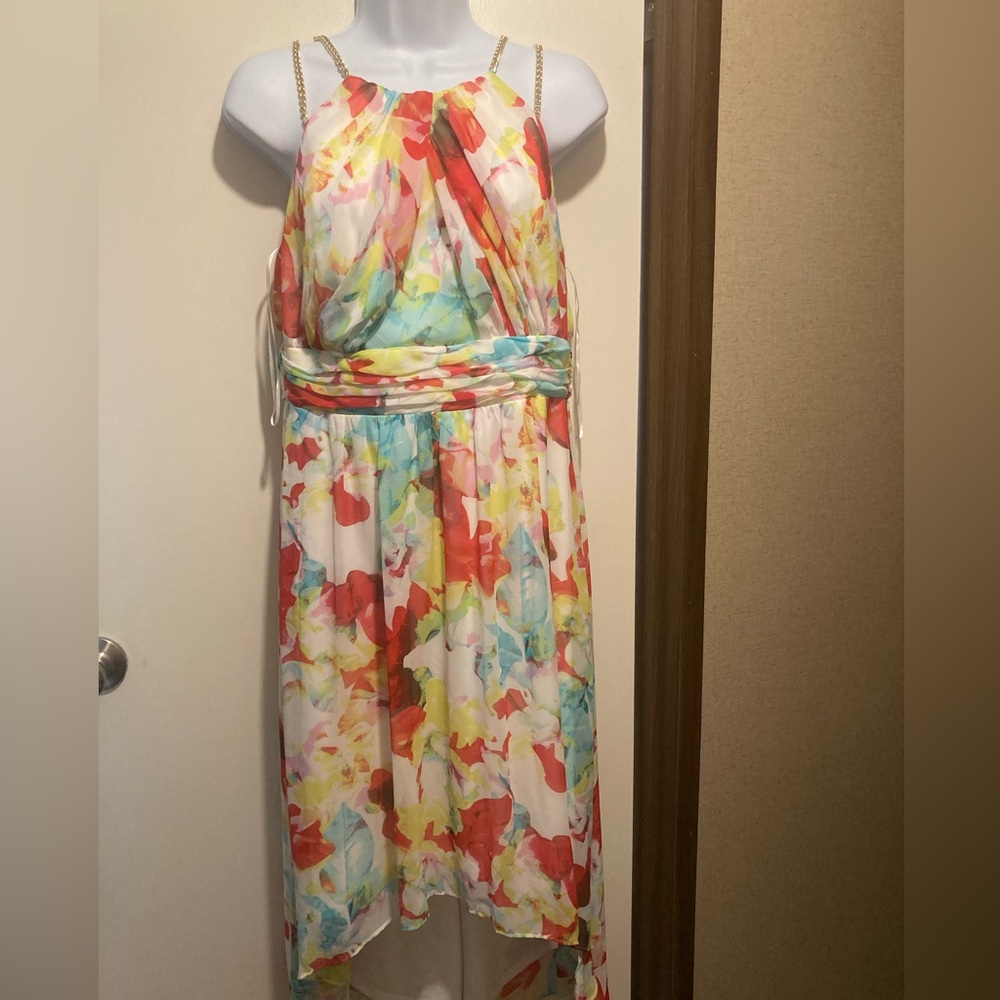 Sangria high low dress